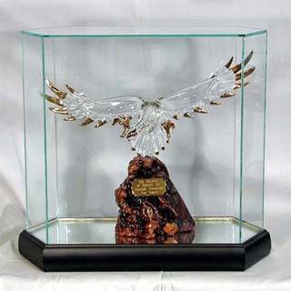  Collectible Glass Cases - Hexagon Wide